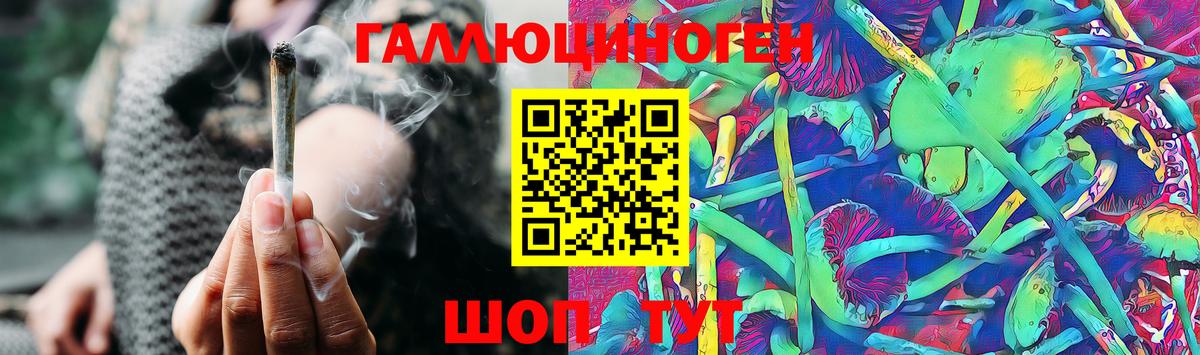 Псилоцибиновые грибы Psilocybine cubensis Белая Калитва