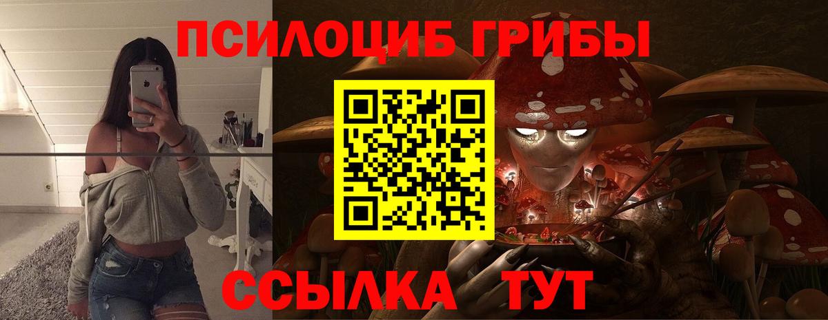 Галлюциногенные грибы прущие грибы  Вход с VPN  Галлюциногенные грибы Cubensis  Белая Калитва 